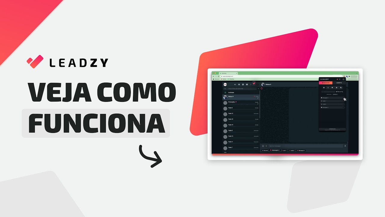 Funcionalidades Principais do Leadzy
