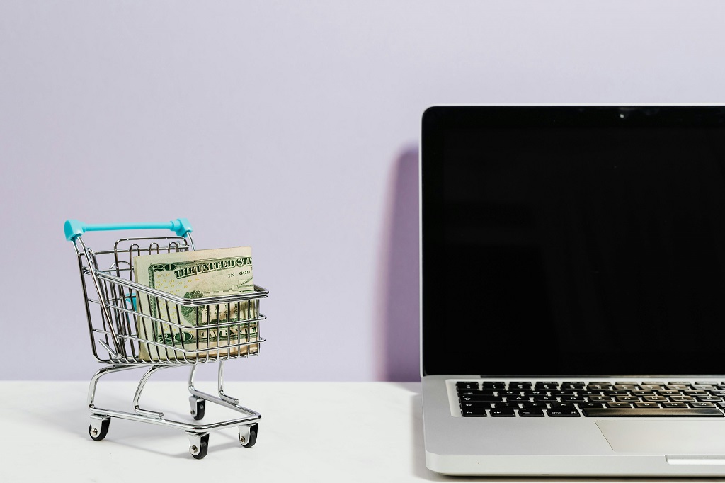 e-commerce-e-dropshipping (2)