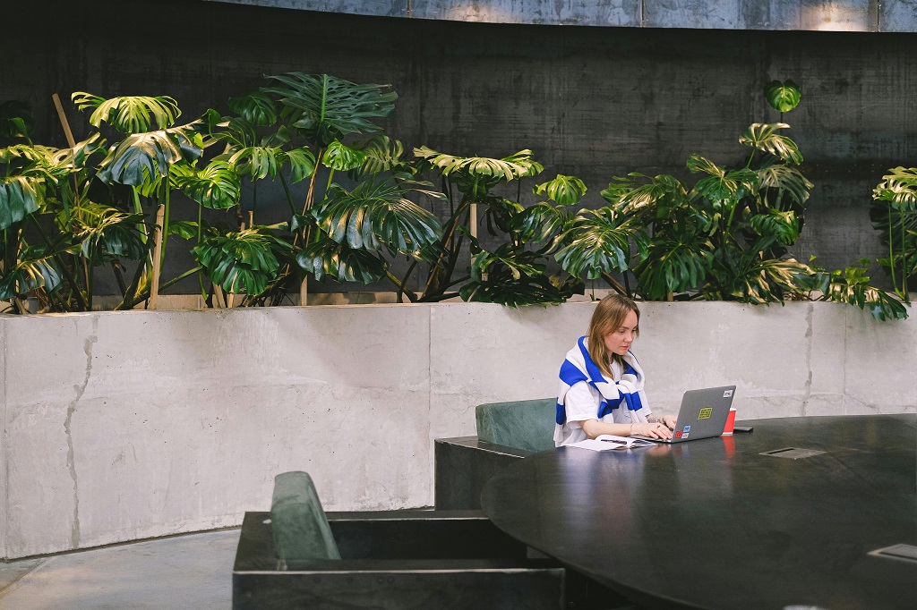 consultor-online